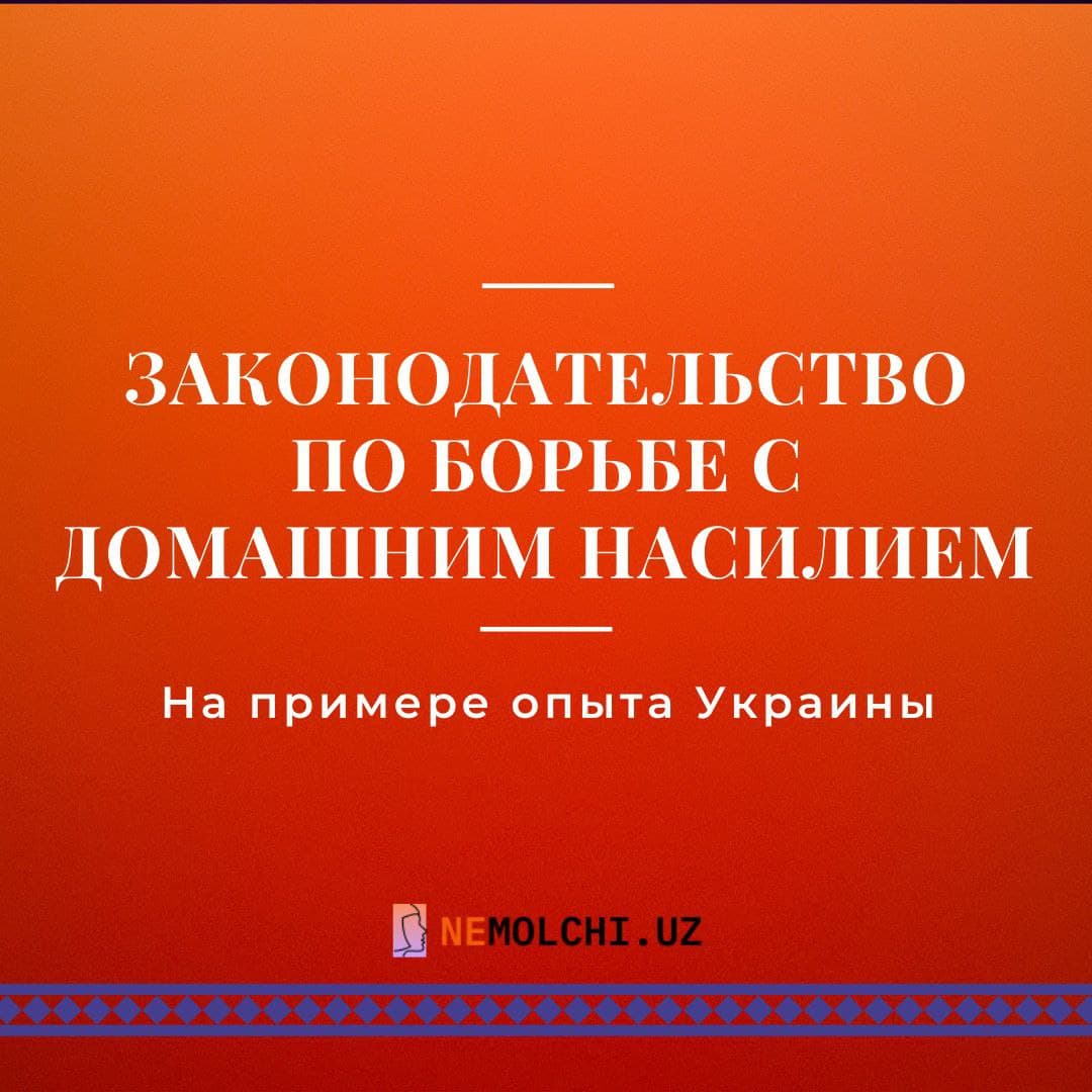 Законодательство по борьбе с домашним насилием на примере опыта Украины